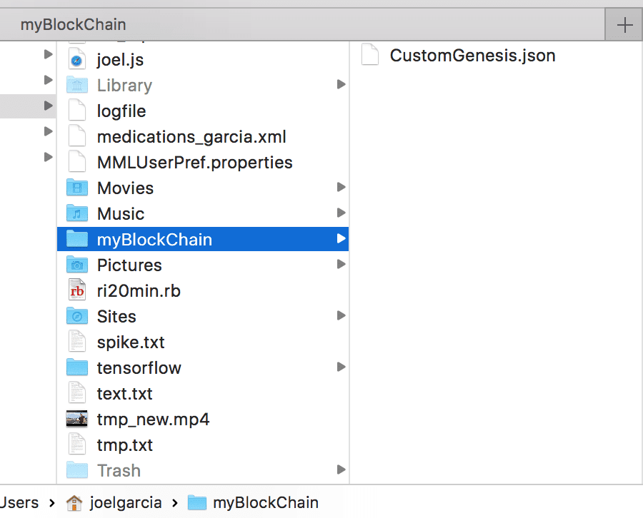 Initial Block Chain Directory layout with CustomGenesis.json